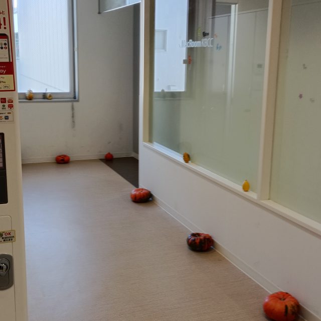 Macroomの廊下です💫